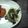 Mama☆４Kids's cooksnap of when they made 水菜の和え物.