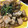 プリン後輩's cooksnap of when they made 味付け1つ！むね肉とれんこんのコク旨炒め.