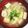 ムーミン☆ママ's cooksnap of when they made ☺︎玉ねぎと豆腐の味噌汁.
