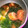 detomura's cooksnap of when they made ウェイパーで☆簡単トマトとわかめのスープ.