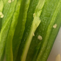 Lue♡'s cooksnap of when they made ピーマンのへたのとり方.
