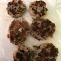 ぽちねこ。's cooksnap of when they made 離乳食豆腐ハンバーグ 大人用に取り分けも.