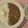 Tiara's cooksnap of when they made 辛旨簡単☆シーフードカレー.