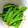yoppy0908's cooksnap of when they made きぬさやのナムル.