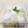 ぱふ♪'s cooksnap of when they made 授乳中のキウイと杏仁豆腐風ミルク寒天.