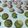 クック5Q7XSX☆'s cooksnap of when they made コストコPCMでさくほろクッキー。.