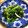 nonopeko's cooksnap of when they made 簡単☆ほうれん草のしらす和え.