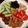inLondon's cooksnap of when they made きゅうりと納豆の梅サラダ＾＾.