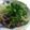 aizu_po's cooksnap of when they made 鯖缶アレンジ.