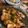 monemaruku's cooksnap of when they made 長芋の肉巻き♪.
