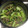 ずぼらマミタン's cooksnap of when they made 簡単!☆砂肝と小松菜の中華炒め.