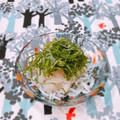 Satoco❋'s cooksnap of when they made ちりめんじゃこのシソおろしのせ.