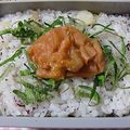 moruchama's cooksnap of when they made お弁当に♪みょうが・ゆかりご飯.