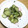 みぃくんのママ's cooksnap of when they made 我が家の定番♪きゅうりとオクラの酢の物.