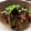 ＊のりちゃん＊'s cooksnap of when they made 小松菜の中華風炒め.
