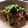＊のりちゃん＊'s cooksnap of when they made 小松菜の中華風炒め.
