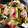 quuumi0702's cooksnap of when they made キャベツとベーコンとネギの炒めもの.