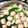 タピ子's cooksnap of when they made あっさり肉団子鍋☆.