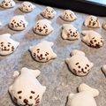 メダカの赤ちゃん's cooksnap of when they made \卵白消費/焼きメレンゲのアザラシ.