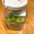 あちゅう's cooksnap of when they made '06 梅シロップの記録(氷砂糖使用).