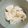 あたりめっこ's cooksnap of when they made オリーブオイルひとかけ冷奴.