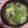 ちゃぎー's cooksnap of when they made 超簡単なのに美味しい♪あさりの味噌汁.