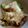 Ra16's cooksnap of when they made 豚バラ肉とキャベツのオイスターソース炒め.