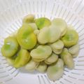 ゆき５'s cooksnap of when they made 基本の美味しい☆そら豆の茹で方(⌒‐⌒).