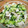 ちゃーん♪'s cooksnap of when they made アジとキュウリと生姜の酢の物☆ガリ使用.