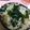 ユーロン's cooksnap of when they made もやしいっぱいの醤油ラーメン.