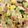 クック甘党。's cooksnap of when they made フライパン1つで♡そーめんチャンプル♡.