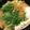 クックM6DK2O☆'s cooksnap of when they made 家にあるもので！坦々ゴマ鍋.