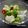 melmarilyn's cooksnap of when they made 白菜の浅漬け.