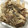 エターニア's cooksnap of when they made みょうがとエリンギのゴマ油炒め★★.