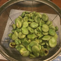 はらぺこまさる's cooksnap of when they made 茹でそら豆♪.*･ﾟ　.ﾟ･*..