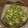 はらぺこまさる's cooksnap of when they made 茹でそら豆♪.*･ﾟ　.ﾟ･*..