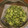 はらぺこまさる's cooksnap of when they made 茹でそら豆♪.*･ﾟ　.ﾟ･*..