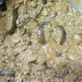 kyokoha's cooksnap of when they made ナスと豚細切れのドライカレー風炒め.