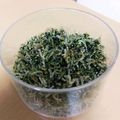 クック8Y79PA's cooksnap of when they made 冷凍焼けしたシラスも救済☆シラスふりかけ.
