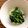 ココロロココ's cooksnap of when they made 青菜のにんにく炒め.