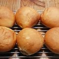しょーこ。's cooksnap of when they made 基本のテーブルロール生地◆自家製天然酵母.