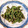 クックQ4ZSFT☆'s cooksnap of when they made 【５分で料亭の味！】いんげんの胡麻和え.