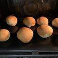 ここっここ's cooksnap of when they made ホシノ天然酵母☆シンプルな丸パン.