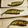 クックHST1BC☆'s cooksnap of when they made 秋刀魚の一夜干.