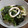 こうのとりヒロシ's cooksnap of when they made いかとわかめの酢味噌和え.