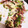しゅわMAMA's cooksnap of when they made いかのマヨ姿焼き・ねぎ＆レモン＆黒胡椒で.