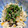 クックHEWGIY☆'s cooksnap of when they made 生ひじきとツナの炊き込みご飯♪.