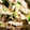 bbkoman's cooksnap of when they made きゅうりとササミの梅サラダ.