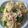 クックCET2N2☆'s cooksnap of when they made ブロッコリーとベーコンのクリームパスタ.