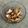 クックWVAXDC☆'s cooksnap of when they made お弁当のおかず！キャベツと塩昆布の浅漬け.